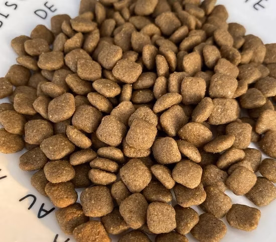 Large Scale Dry Wet Shrimp Tortoise Floating Sink Fish Feed Pellet Pet Cat Dog Food Making Processing Extrusion Machine