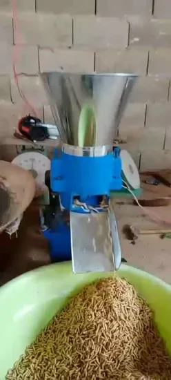 Small Automatic Chicken Feed Making Machine / Animal Feed Pellet Machine for Sale