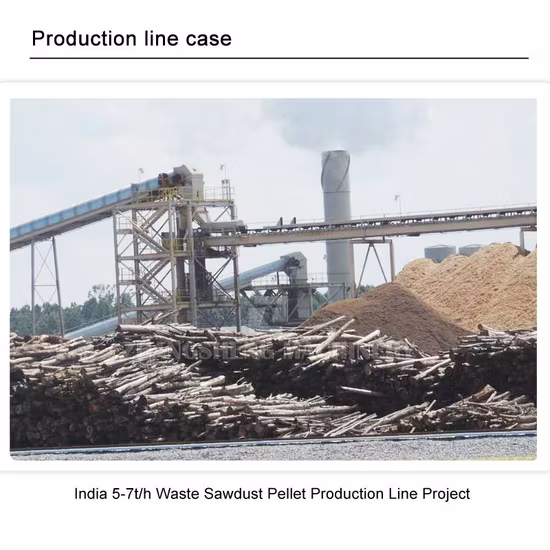 Factory Price High Output Vertical Ring Die Biomass Pellet Production Line