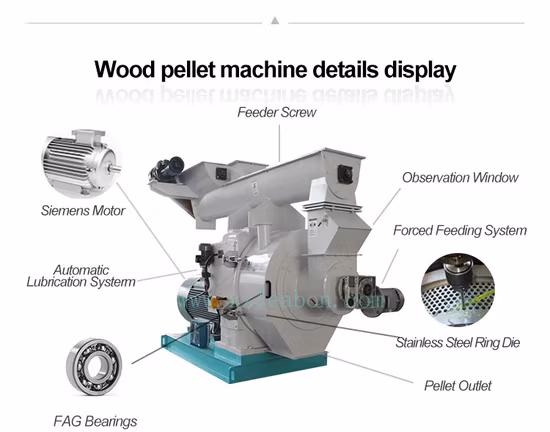 High Effective 2-3ton/Hr Wood Pellet Production Line Wood Pellet Mill Line Wood Chips Pellet Production Line Efb Pellet Line Biomass Sawdust Pellet Plant